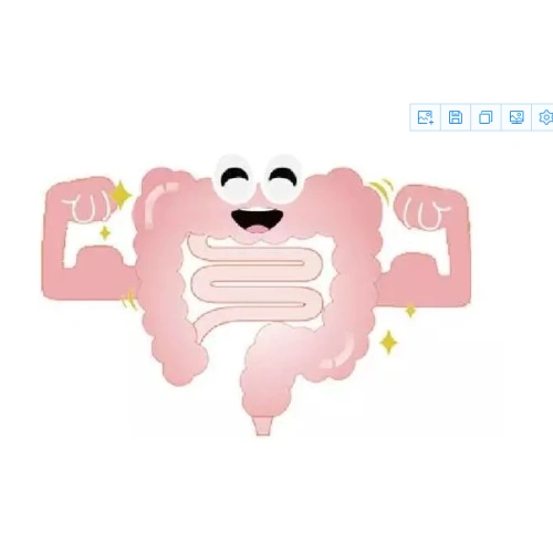 XOS prebiotic supplement xylooligosaccharides application